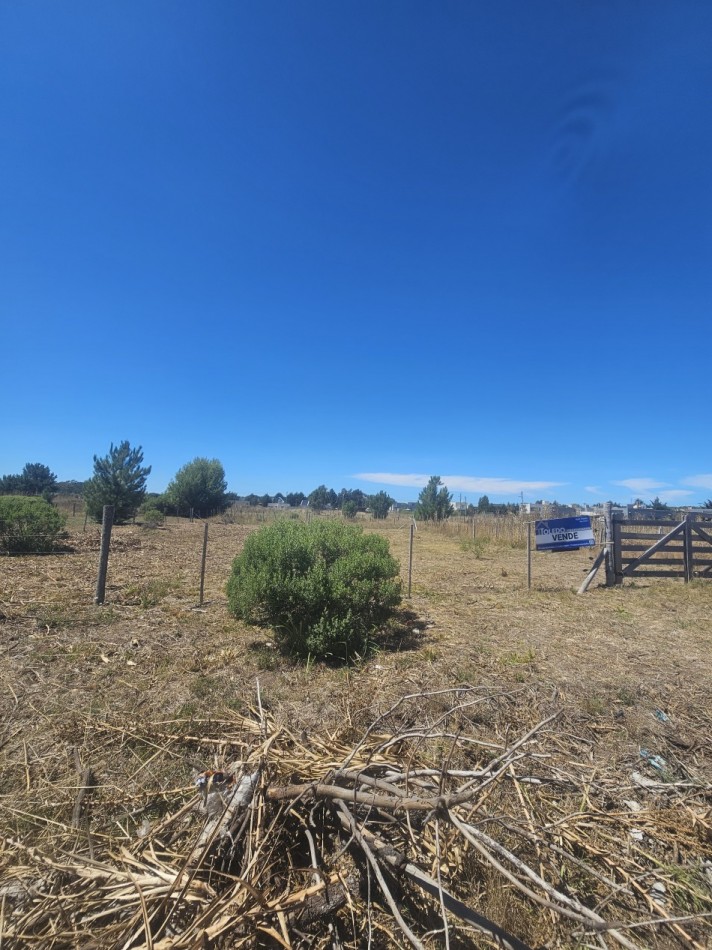 VENDO DOS LOTES JUNTOS O SEPARADOS LISTOS PARA ESCRITURAR