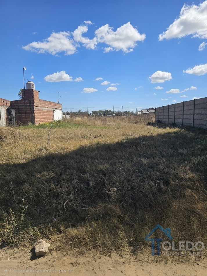Dos lotes en venta en Necochea - calle 87 casi 50 y 50 casi 87