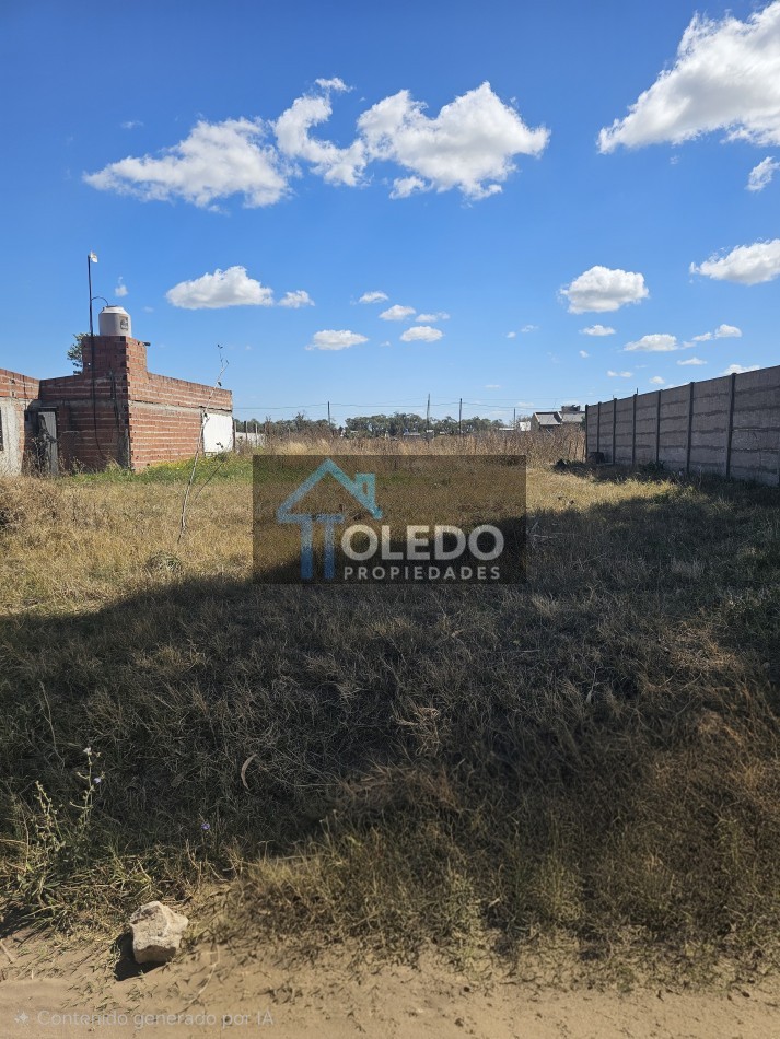 Dos lotes en venta en Necochea - calle 87 casi 50 y 50 casi 87